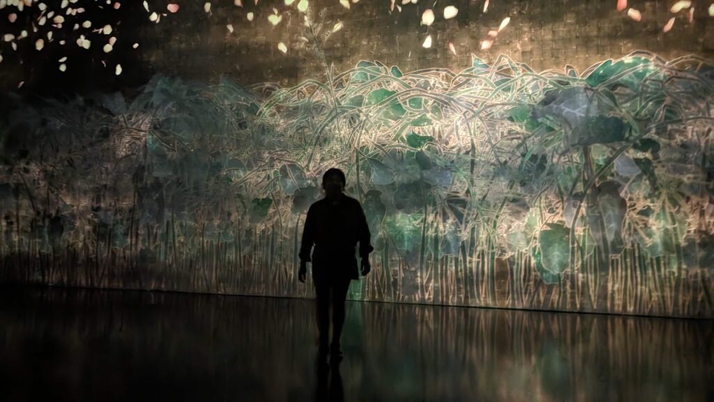 Accessible Miami: 6-Day Trip Guide pxl 20240514 180644908