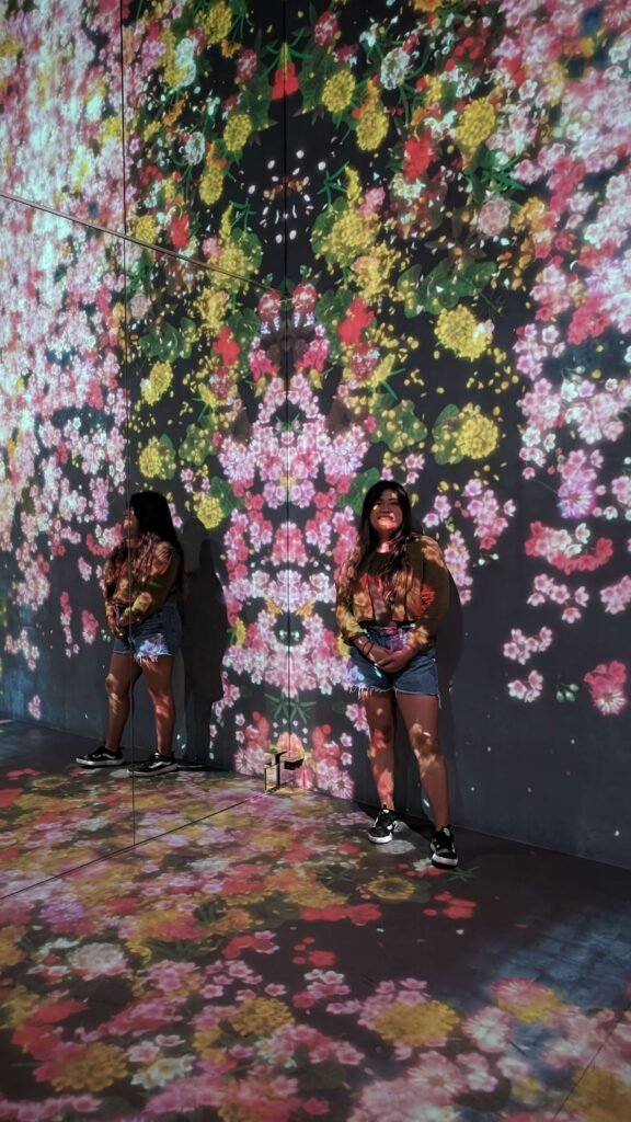 Accessible Miami: 6-Day Trip Guide pxl 20240514 182534008